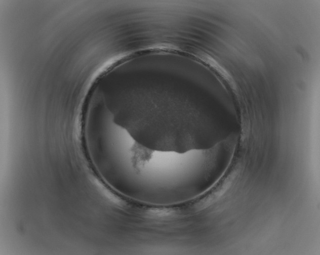 X0000113291037200909141200