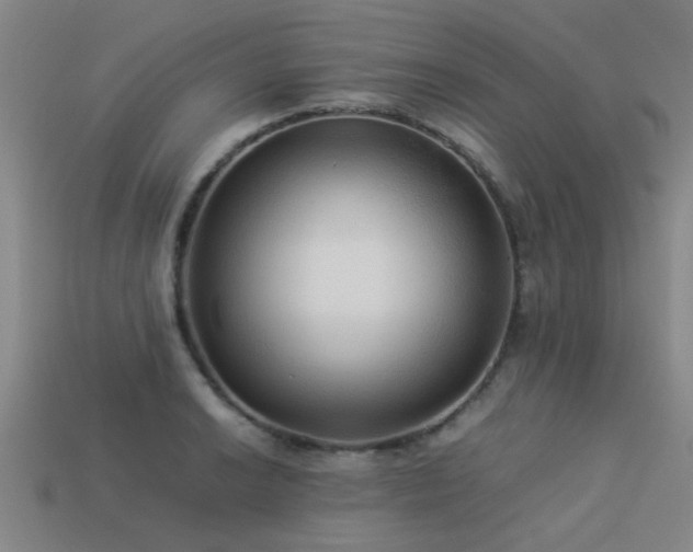 X0000113291038200909141200