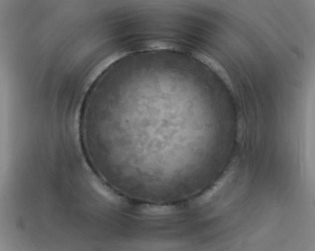 X0000113291039200909141200