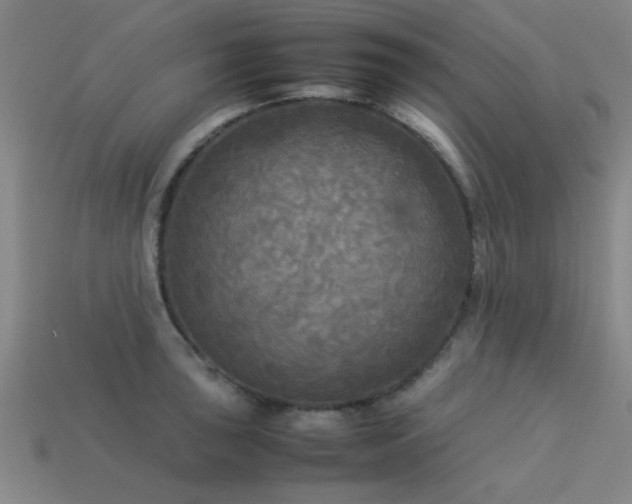 X0000113291043200909141200