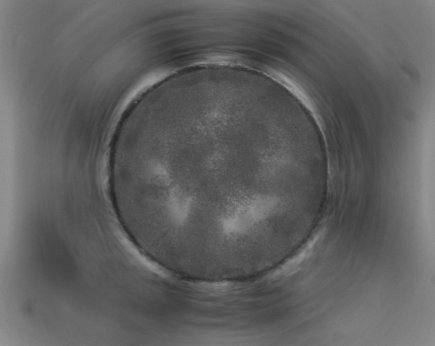 X0000113291045200909141200