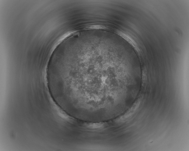 X0000113291047200909141200