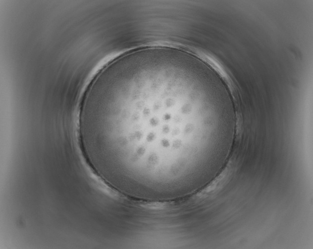 X0000113291048200909141200