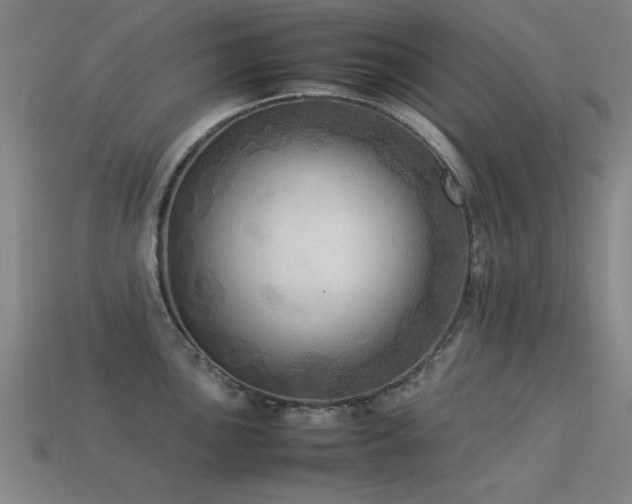 X0000113291051200909141200