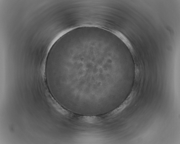 X0000113291052200909141200