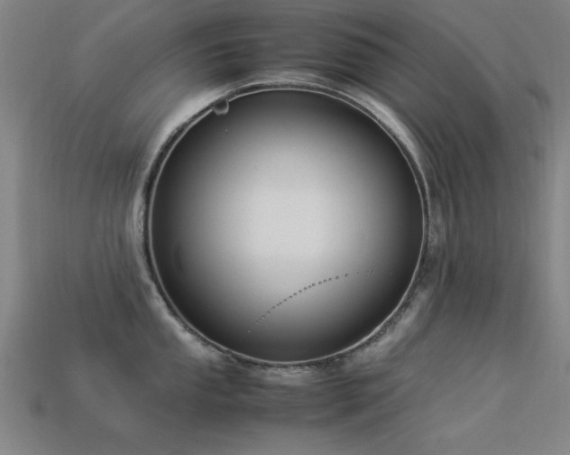 X0000113291053200909141200