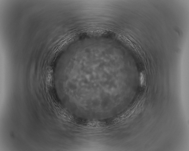 X0000113291059200909141159