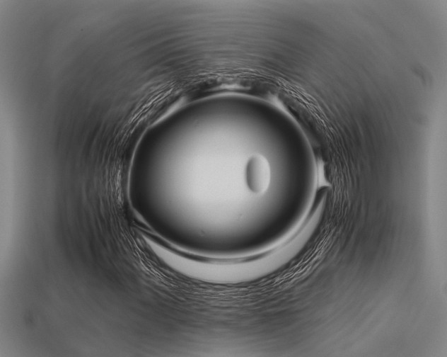 X0000113291060200909141159