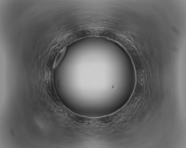 X0000113291061200909141159