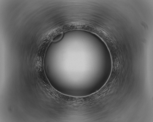 X0000113291062200909141159