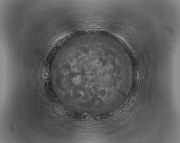 X0000113291063200909141159