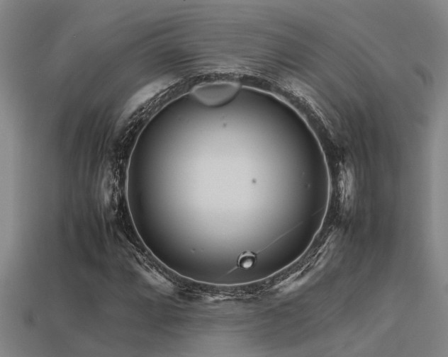 X0000113291064200909141159