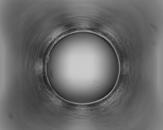 X0000113291065200909141159