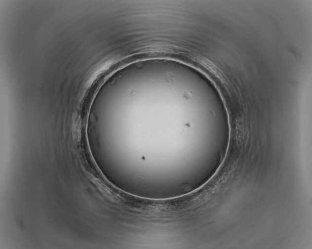 X0000113291067200909141159