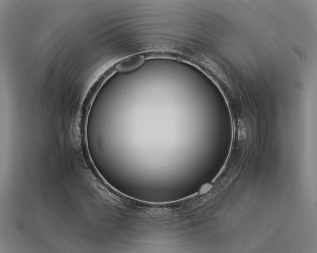 X0000113291068200909141159