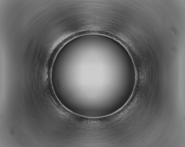 X0000113291070200909141159