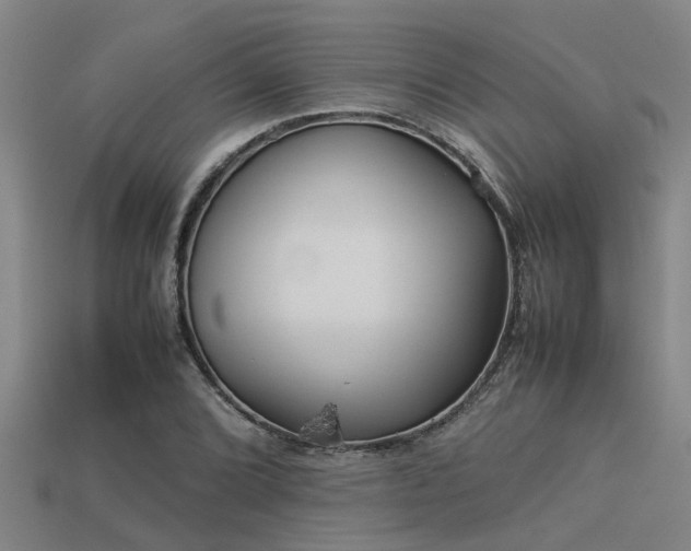 X0000113291072200909141159