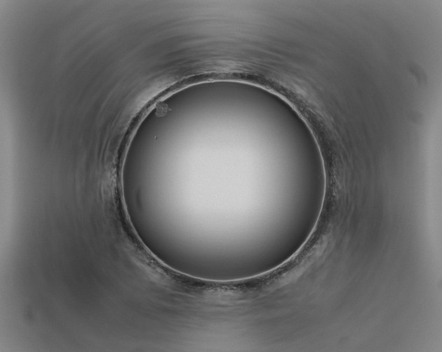 X0000113291073200909141159