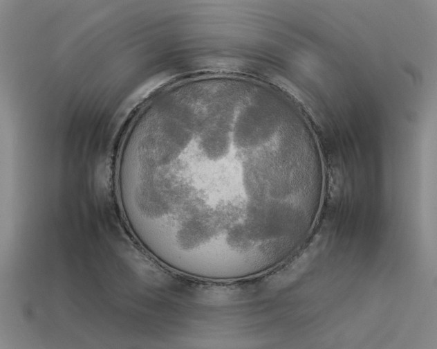 X0000113291074200909141159