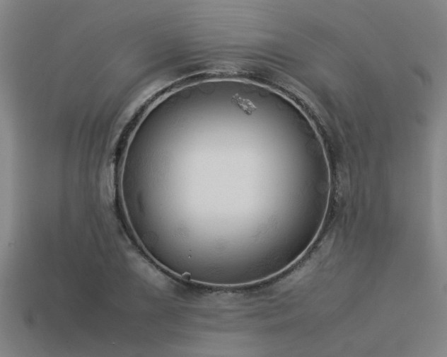 X0000113291075200909141159