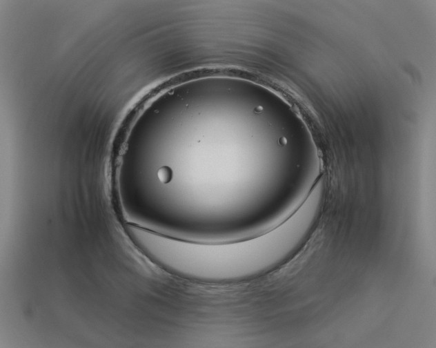 X0000113291076200909141159