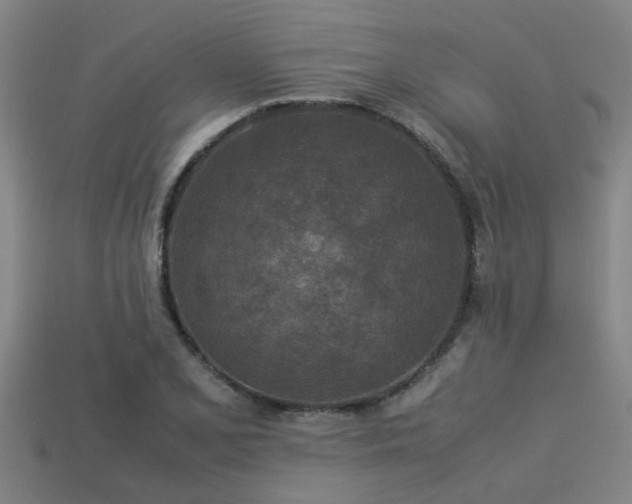 X0000113291077200909141159