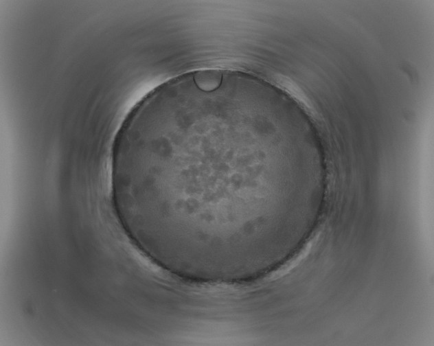 X0000113291079200909141159