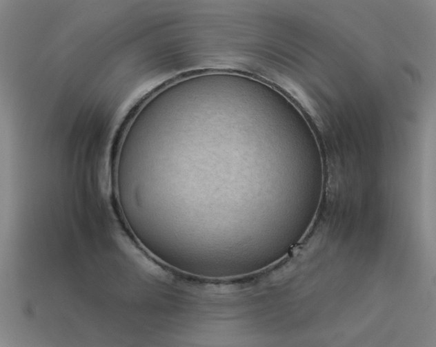 X0000113291080200909141159