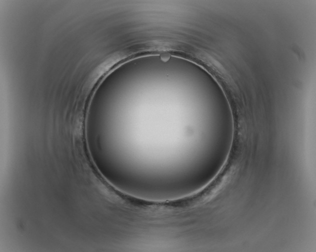 X0000113291081200909141159