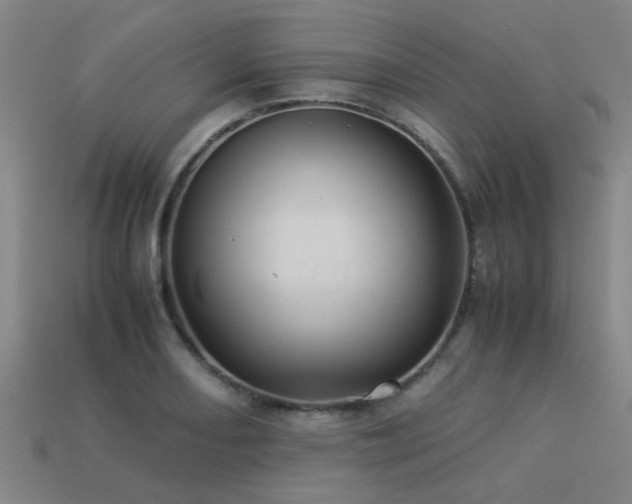 X0000113291082200909141159