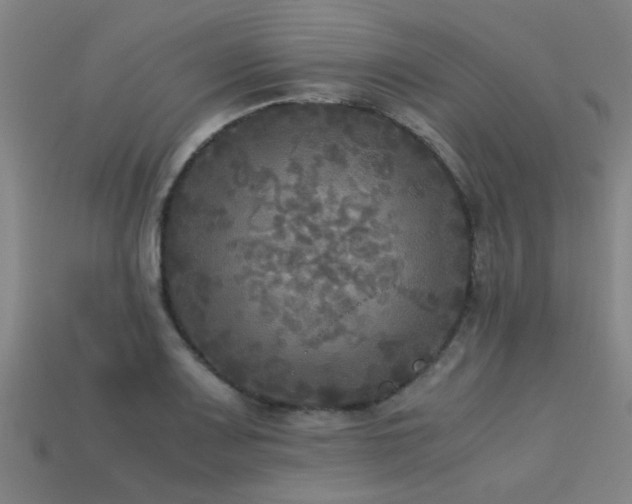 X0000113291083200909141159