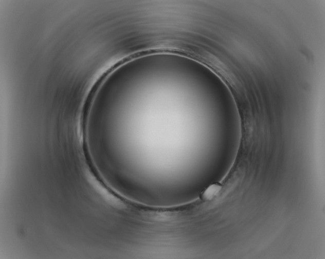 X0000113291084200909141159