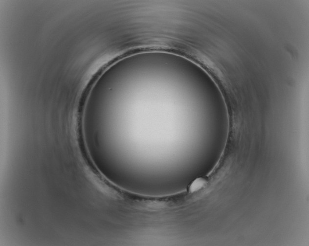 X0000113291085200909141159