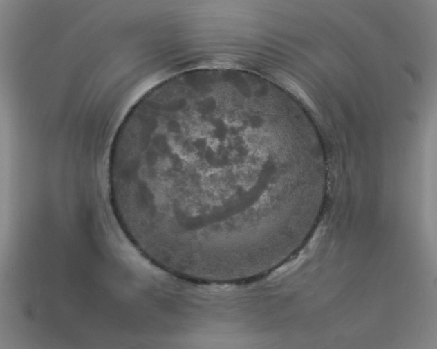 X0000113291087200909141159