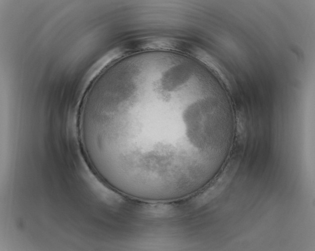 X0000113291090200909141159