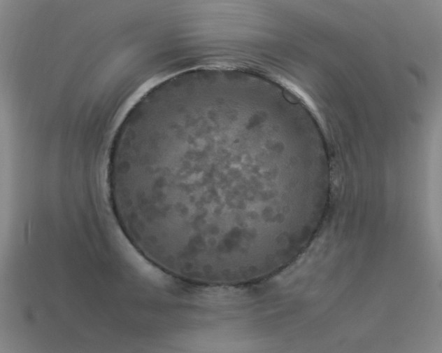 X0000113291091200909141159