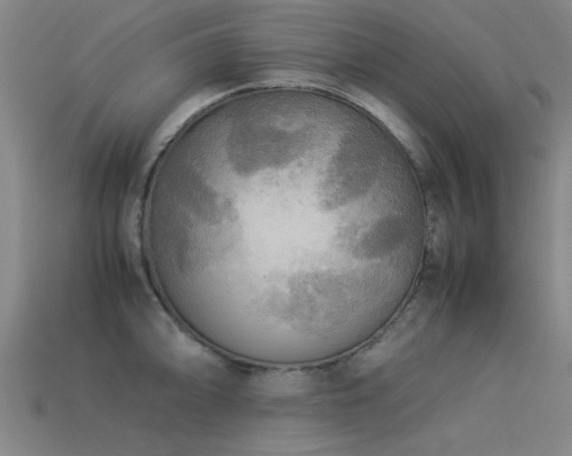 X0000113291094200909141159