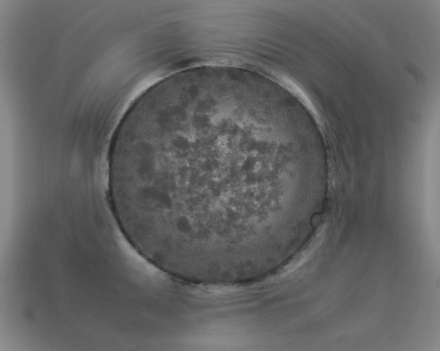 X0000113291095200909141159