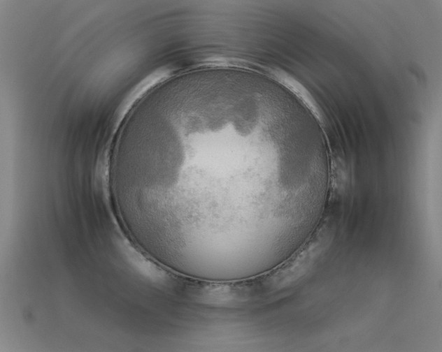 X0000113291098200909141159