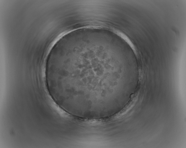 X0000113291099200909141159