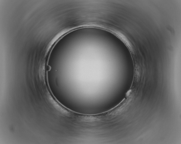 X0000113291100200909141159