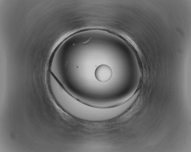 X0000113291101200909141159