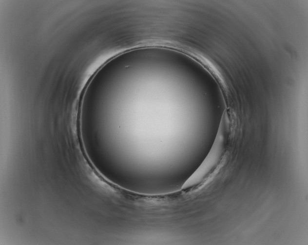 X0000113291102200909141159