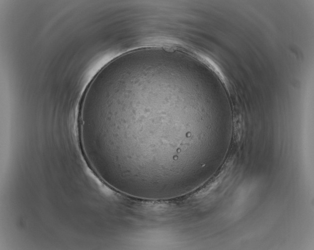 X0000113291103200909141159