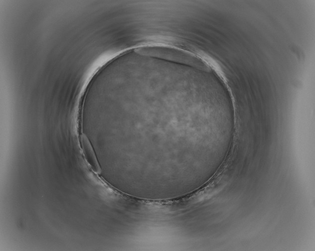 X0000113291104200909141159