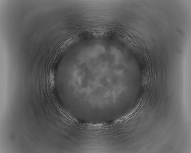 X0000113291106200909141158