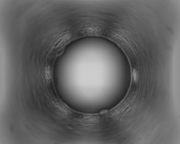 X0000113291107200909141158