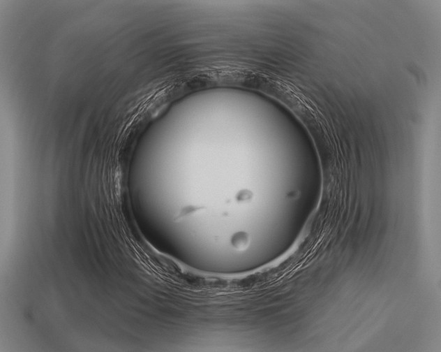 X0000113291108200909141158