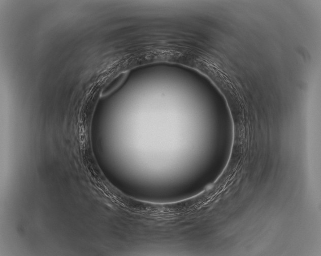 X0000113291109200909141158