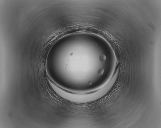 X0000113291110200909141158